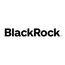 BlackRock World Mining Trust