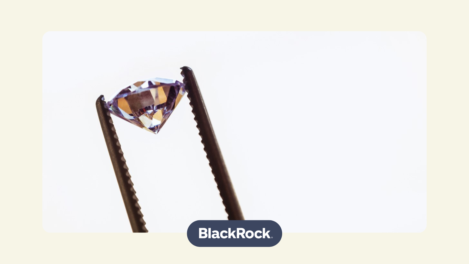 natural resources, such as diamonds and other commodities as an investment opportunity