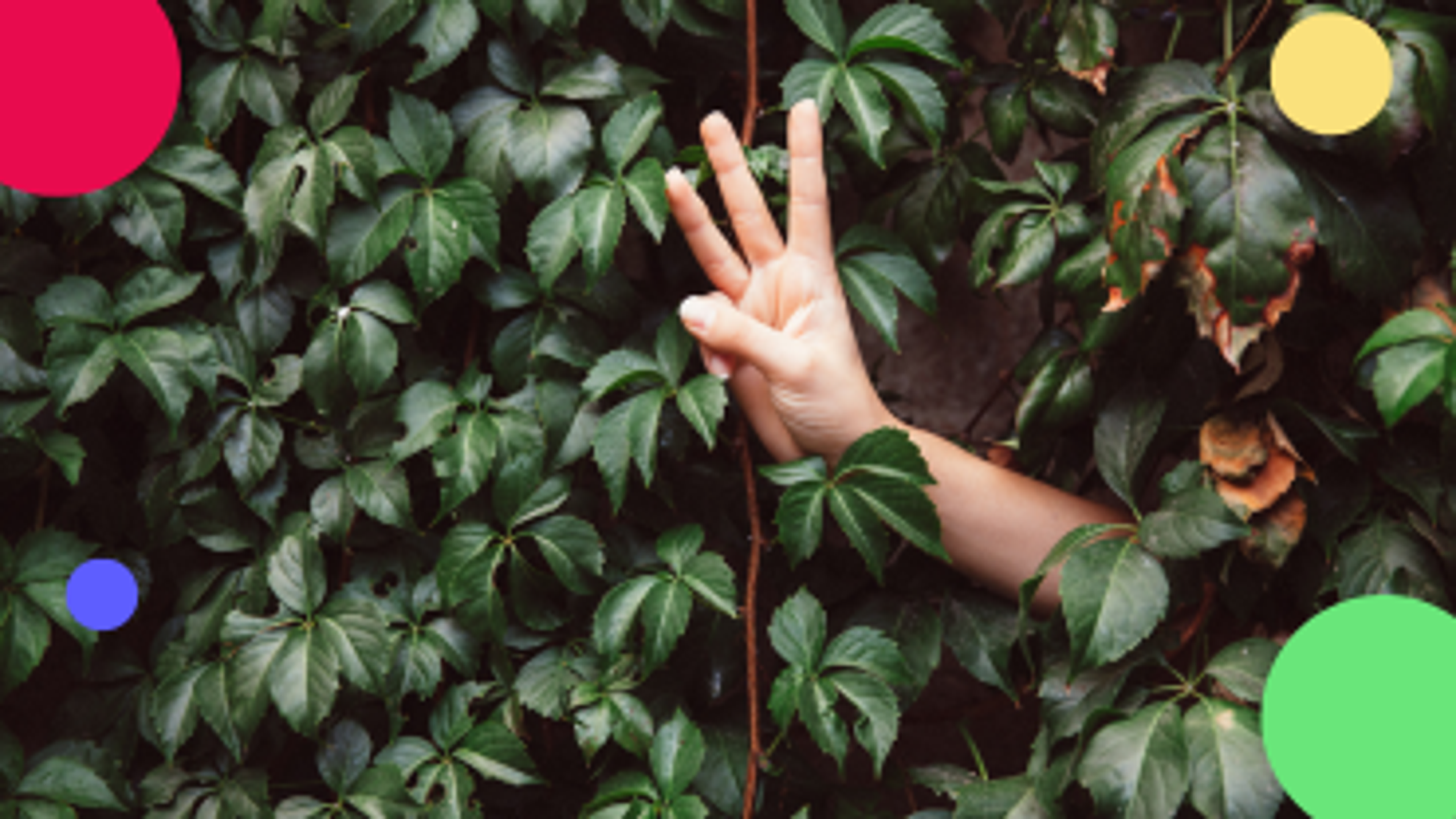 Three reasons you should start investing today
