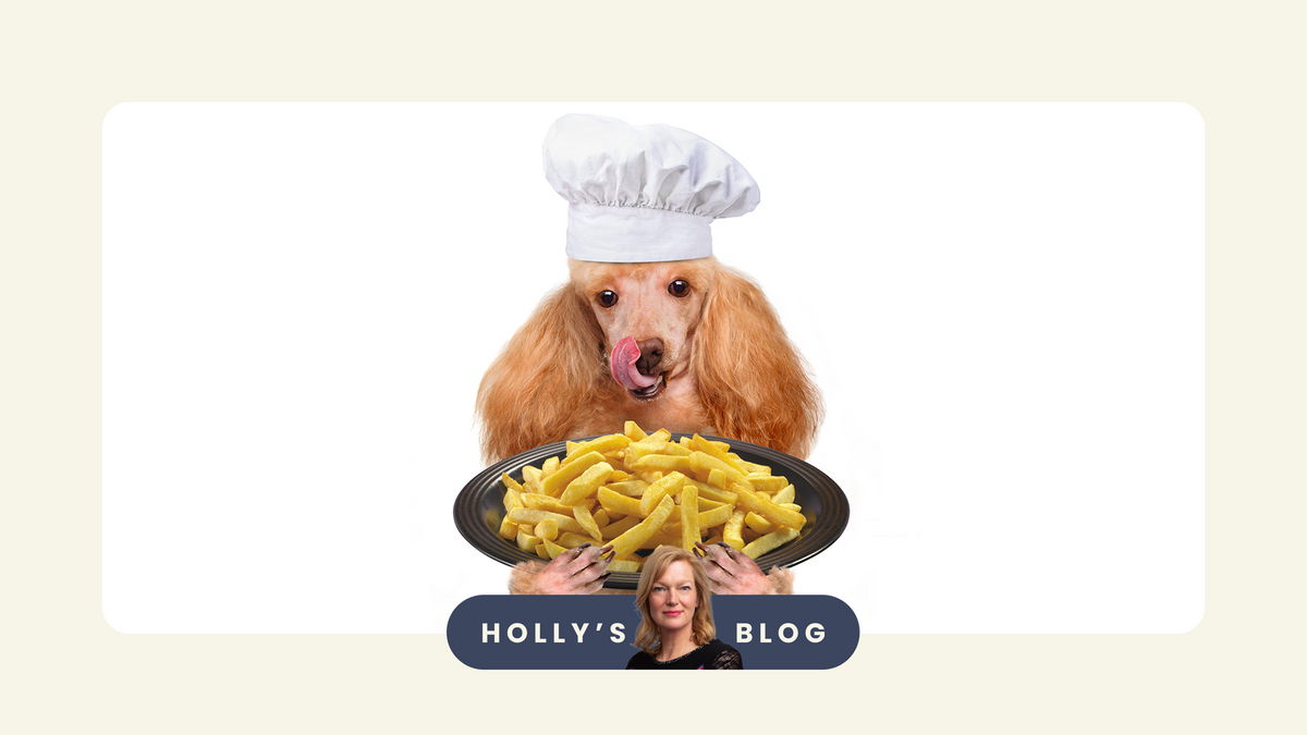 dog chef holding a big plate of chips