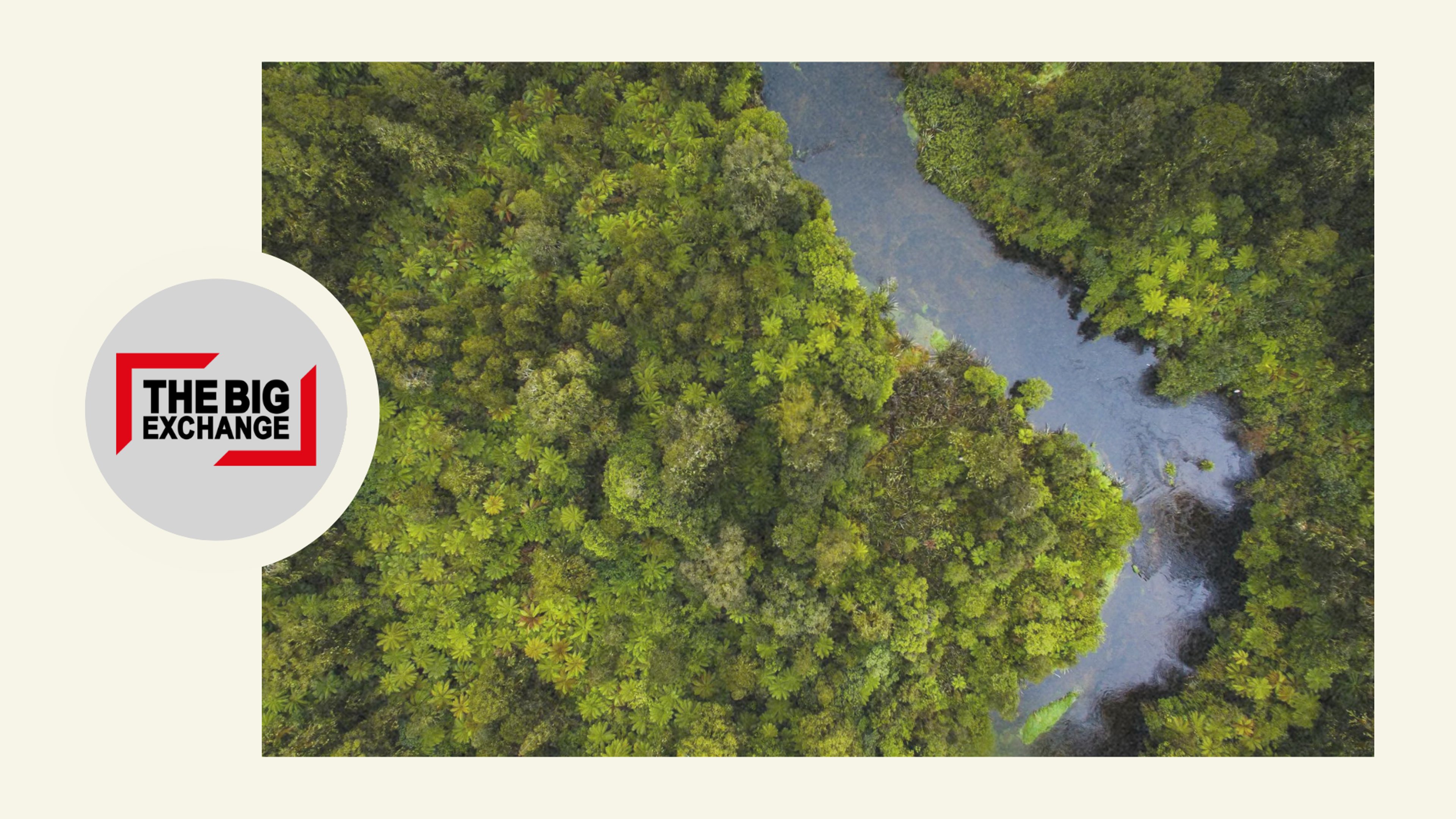 rain-forest as a symbol of biodiversity funds and thematic investing