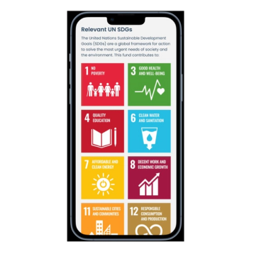 The UN's Sustainable Development Goals