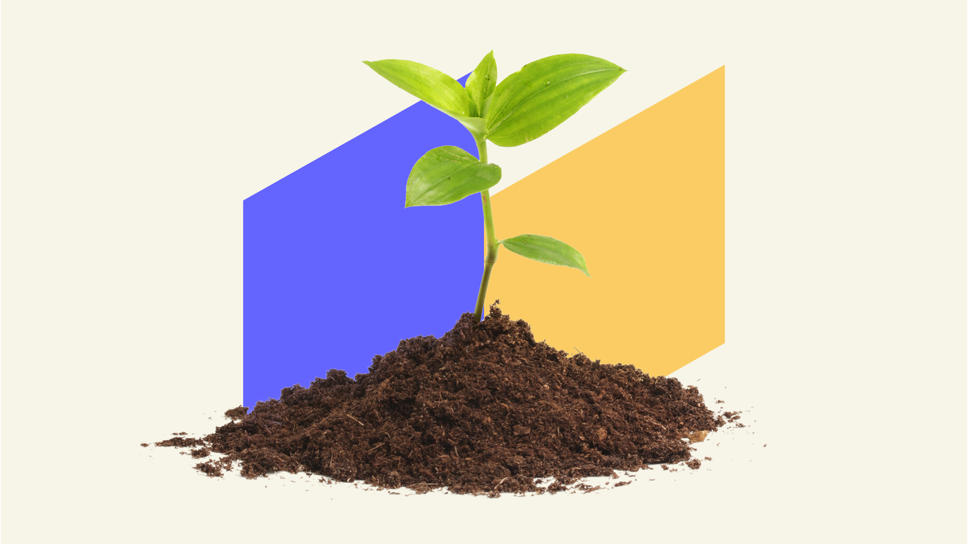 3 Investment Trusts for Recovery