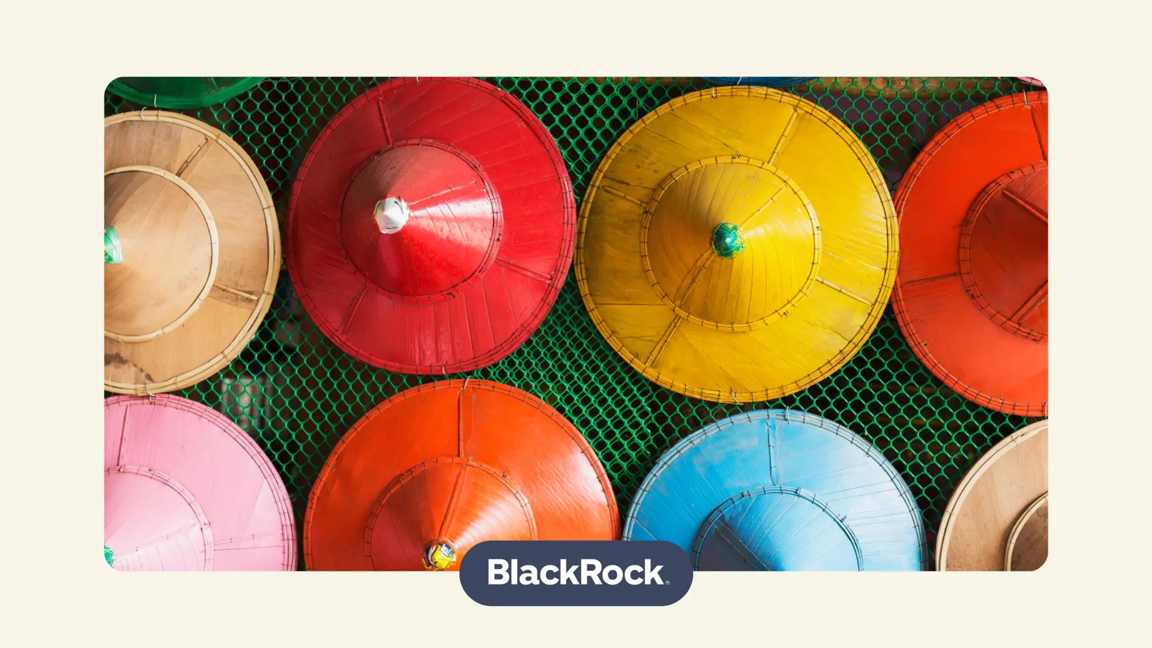 BlackRock Frontiers Investment Trust plc