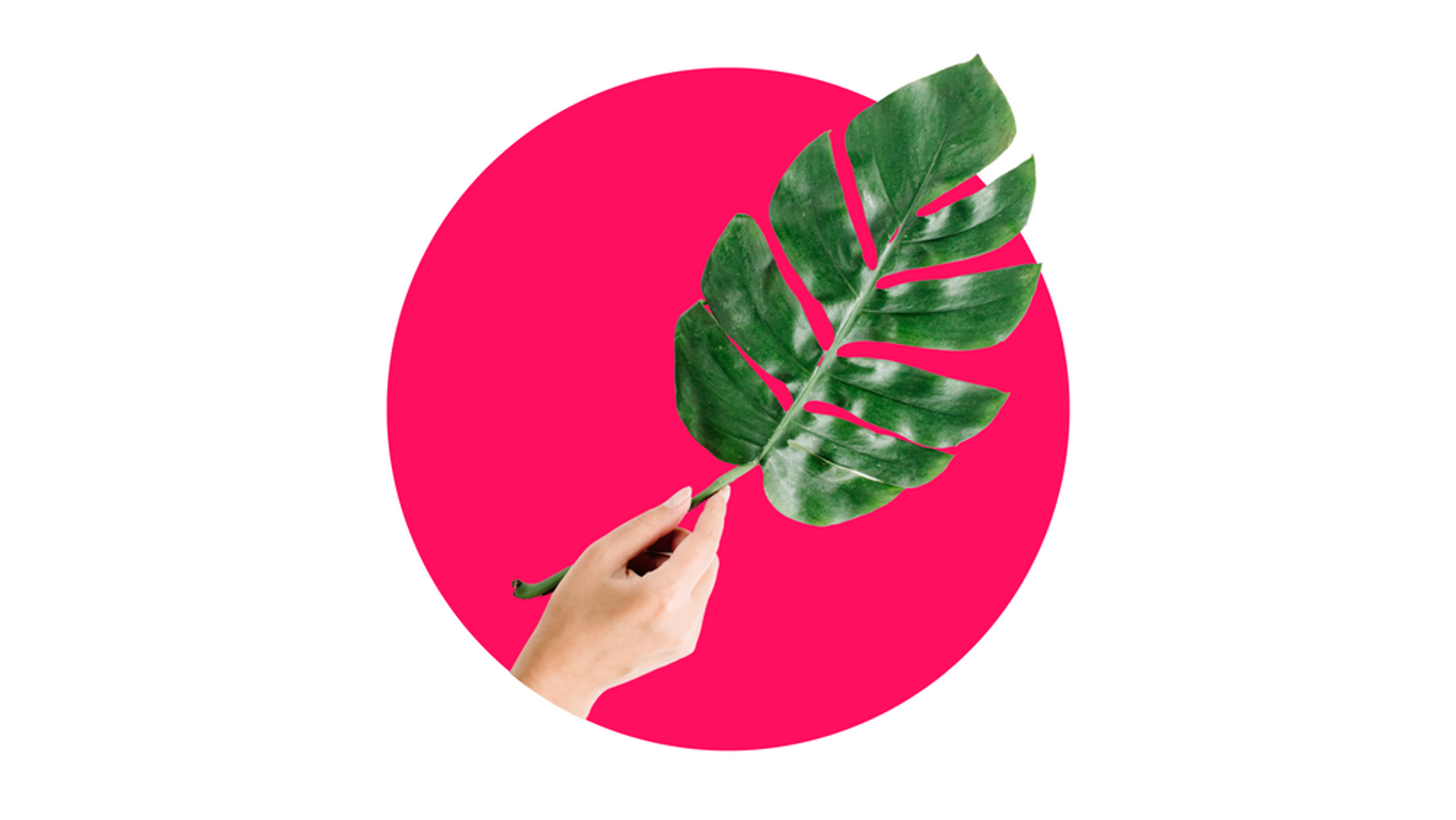 Sustainable Investing