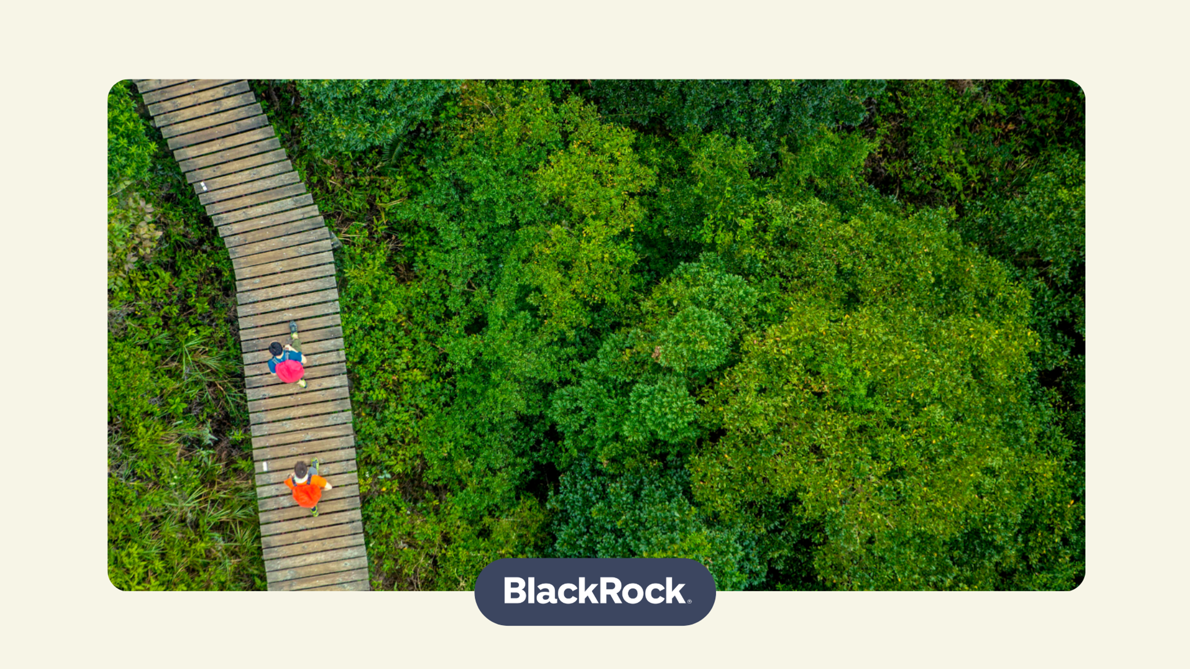BlackRock World Mining Trust