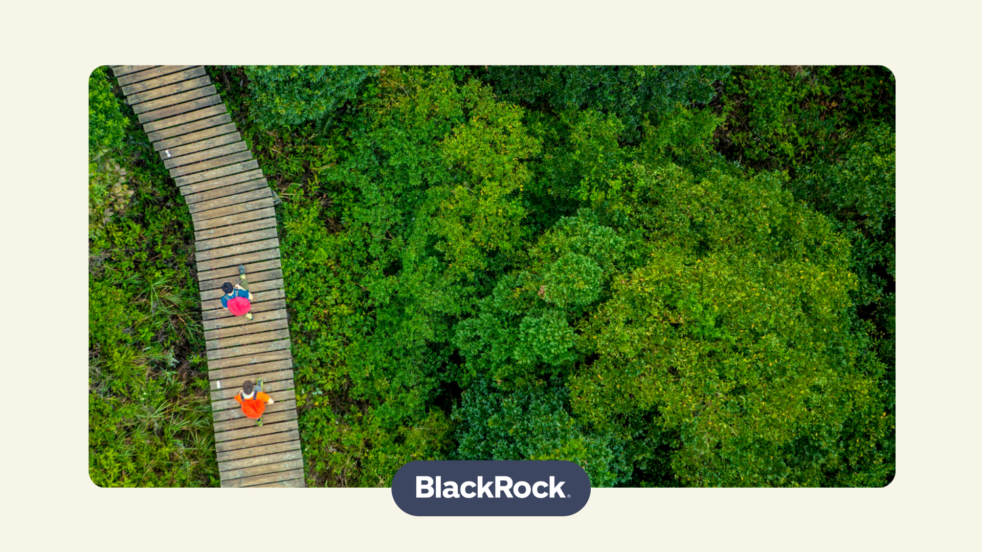 BlackRock World Mining Trust