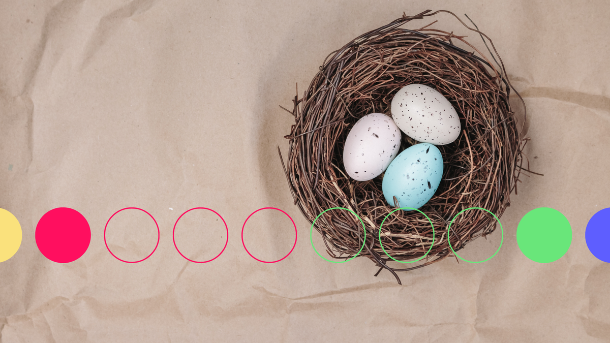An image of a bird's nest full of eggs