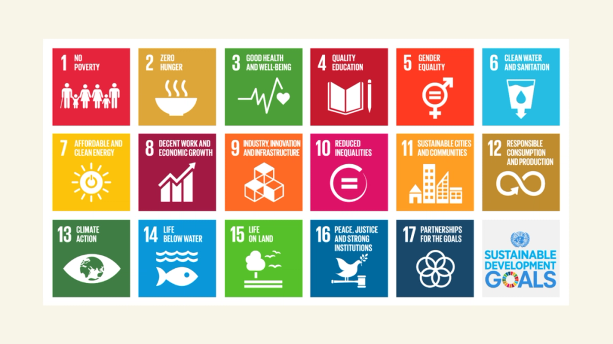 The UN's 17 Sustainable Development Goals