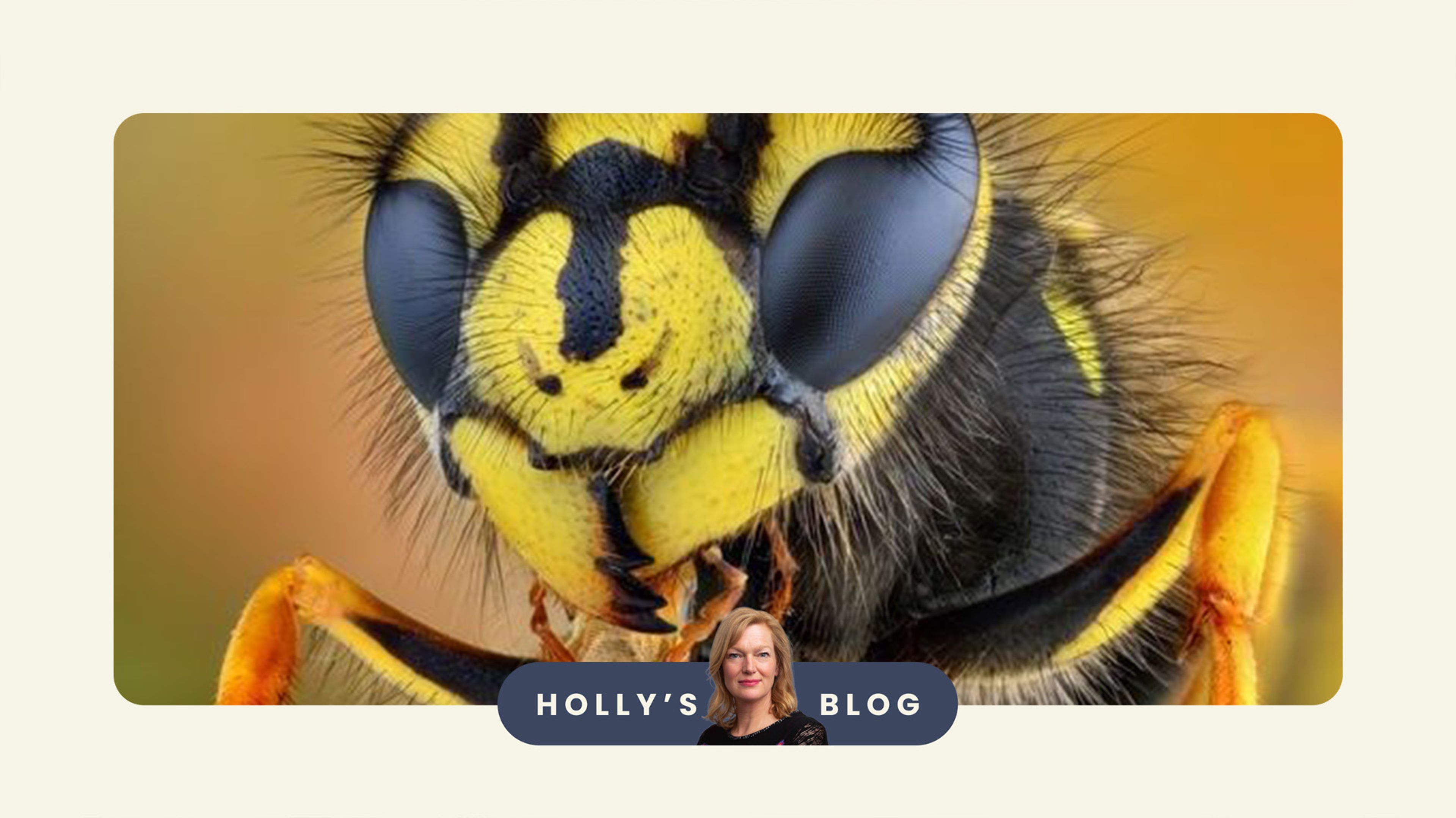 Holly's Blog: The sting in the WASPI tale