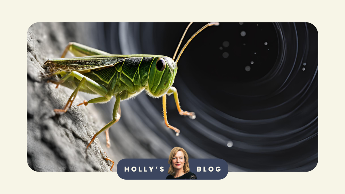 Black Holes and Grasshoppers on Speed