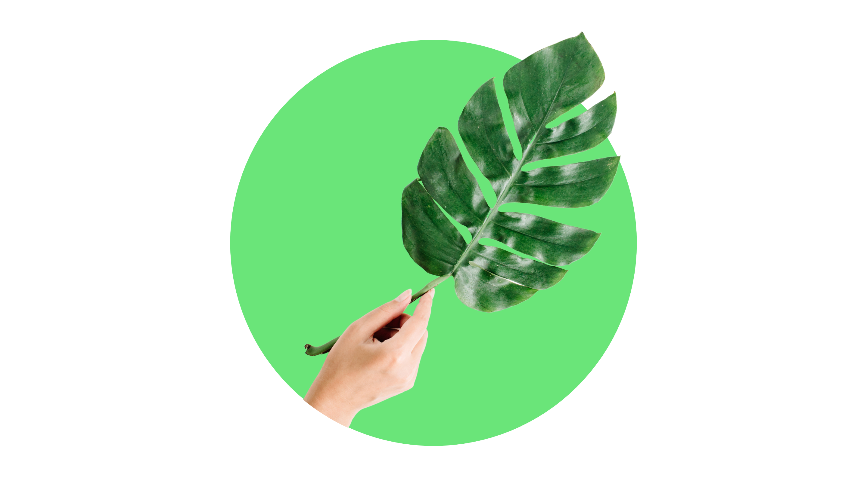 Sustainable Investing