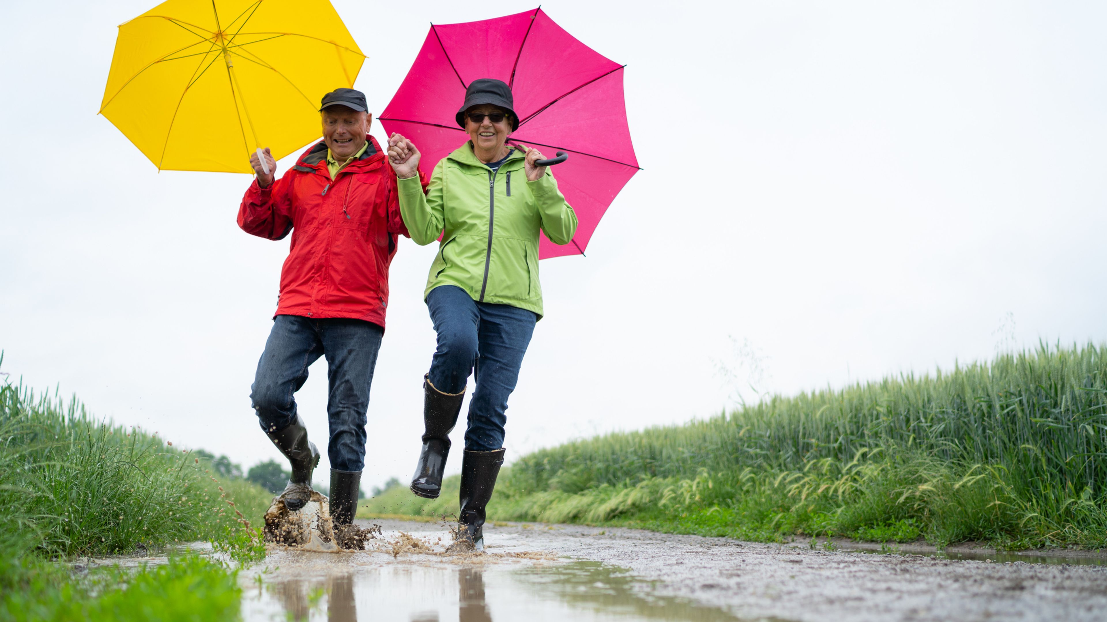 Saving for retirement: How Digital Advice can be your helping hand