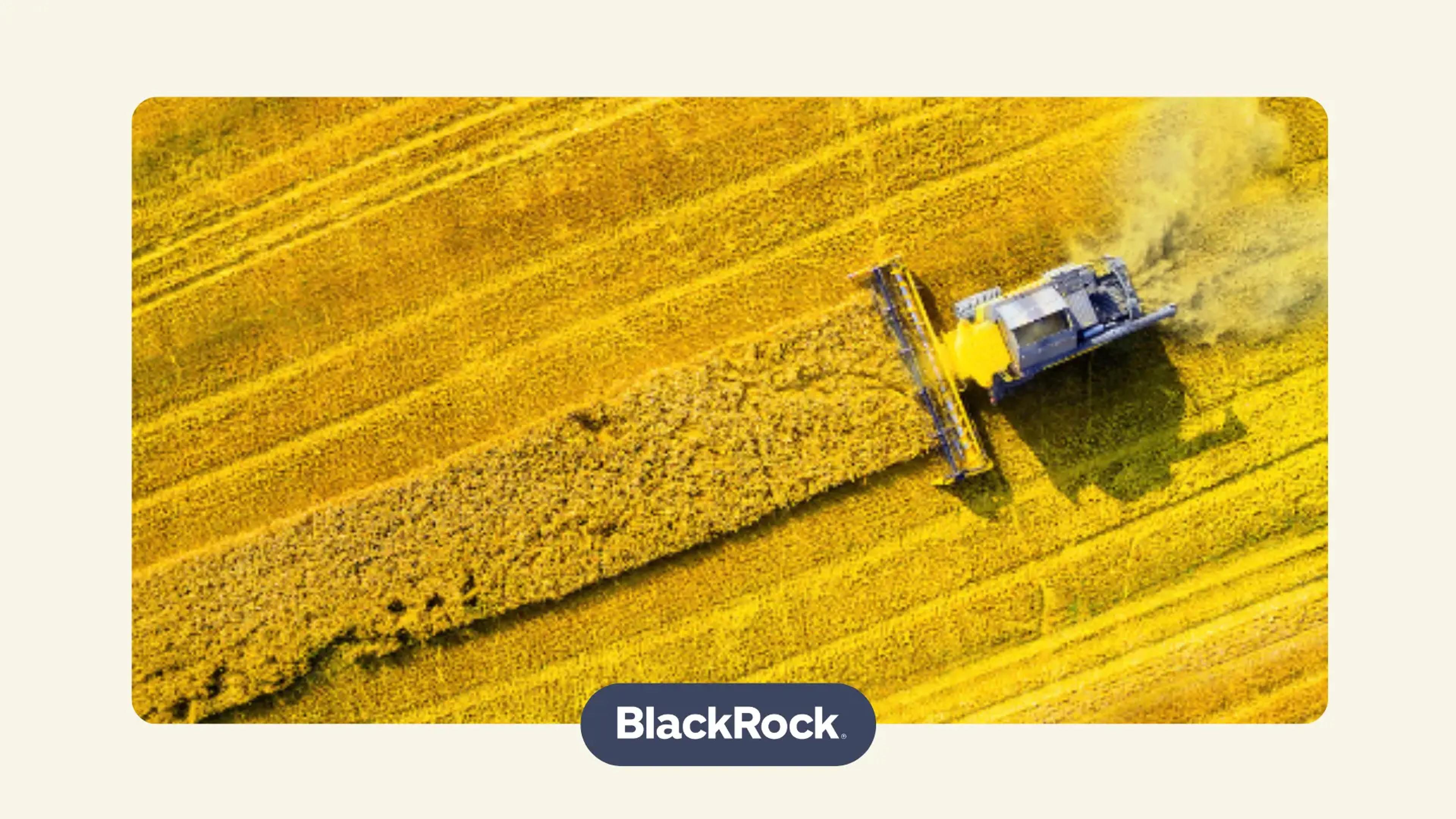 BlackRock Income & Growth Investment Trust