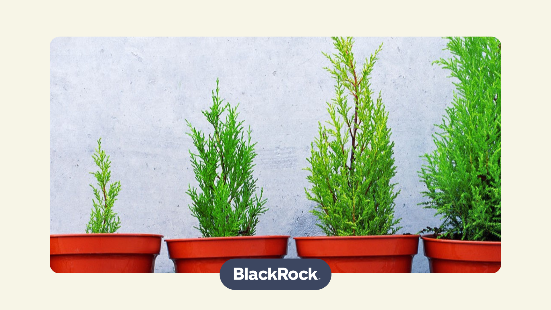 four potted pine trees representing ESG (environmental, social, governance) investment initiatives