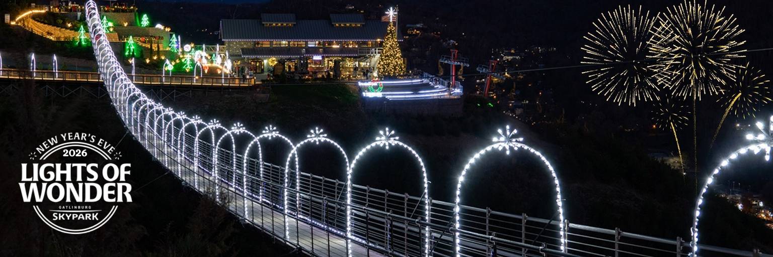 2026 lights of wonder web banner