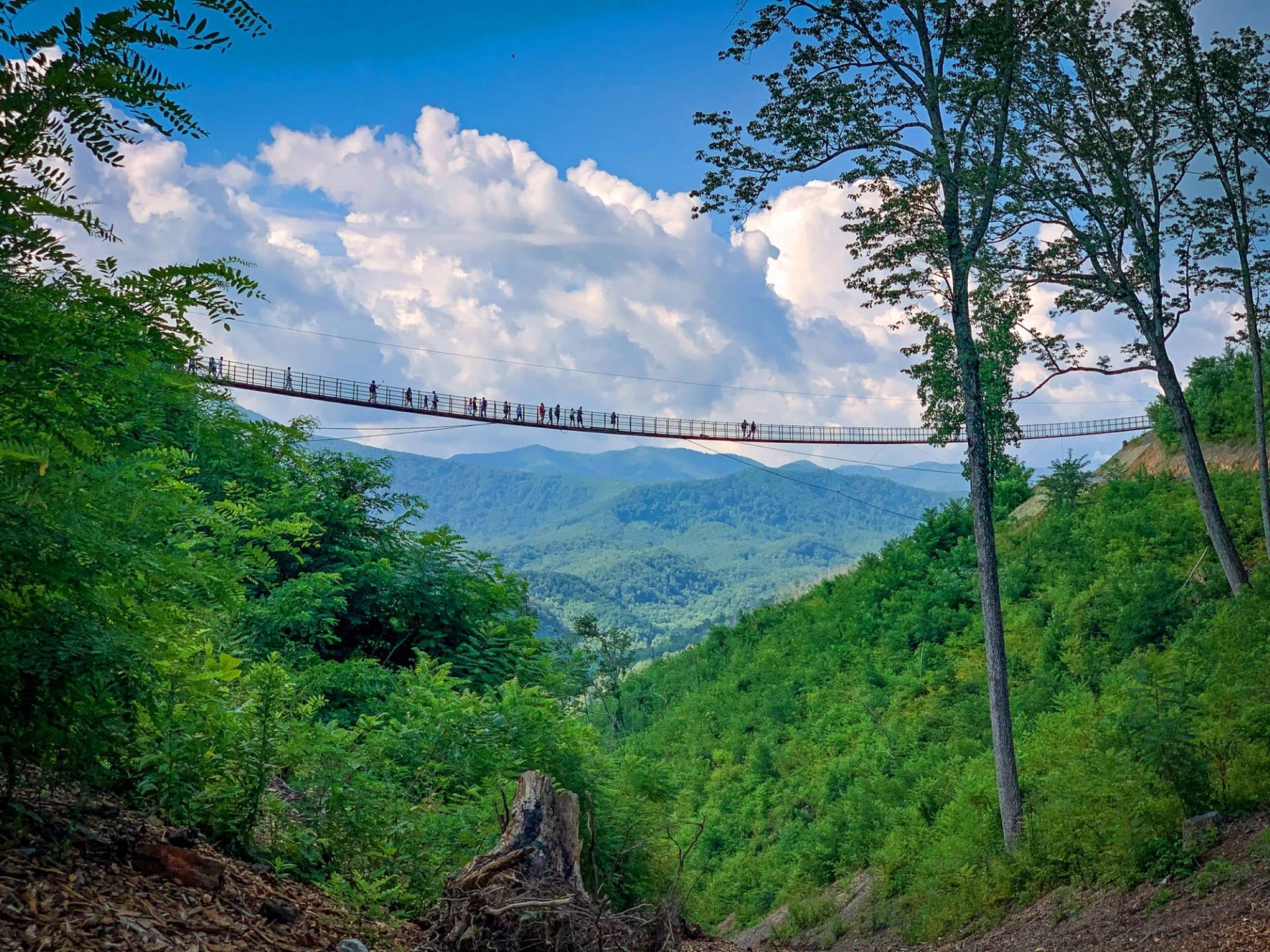 SkyBridge View from Hiking Trail Summer