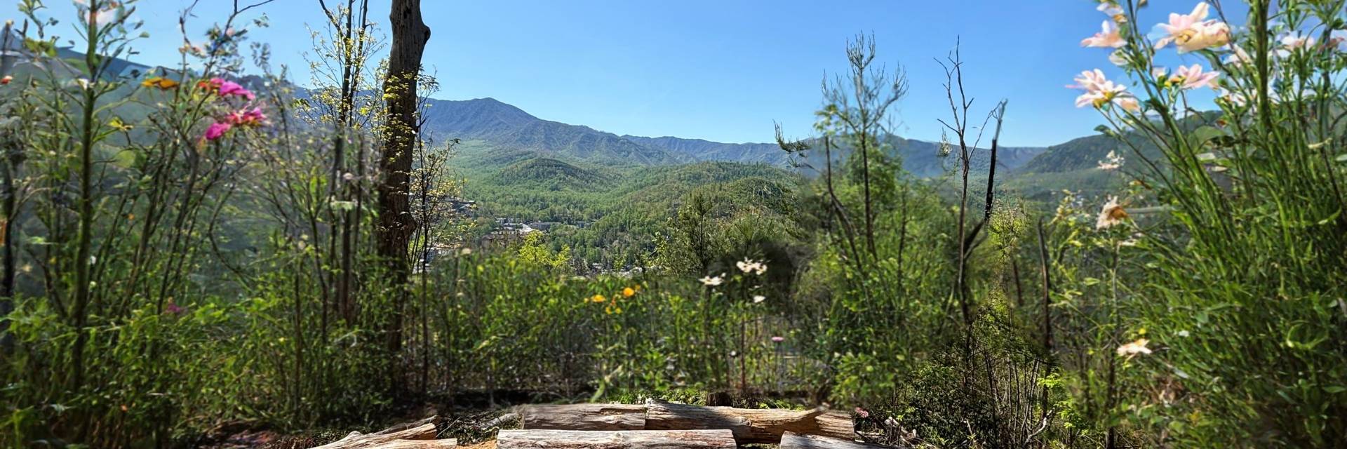 Rest stop on the hiking trails with flowers blooming