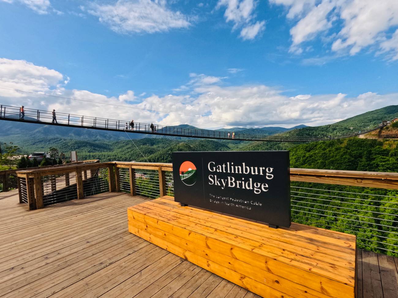 A view of the SkyBridge from the boardwalk on the SkyTrail.