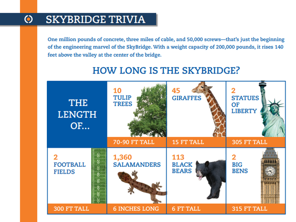 SkyBridge Trivia