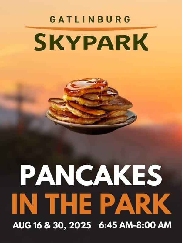 pancakes in the park 3070 pic