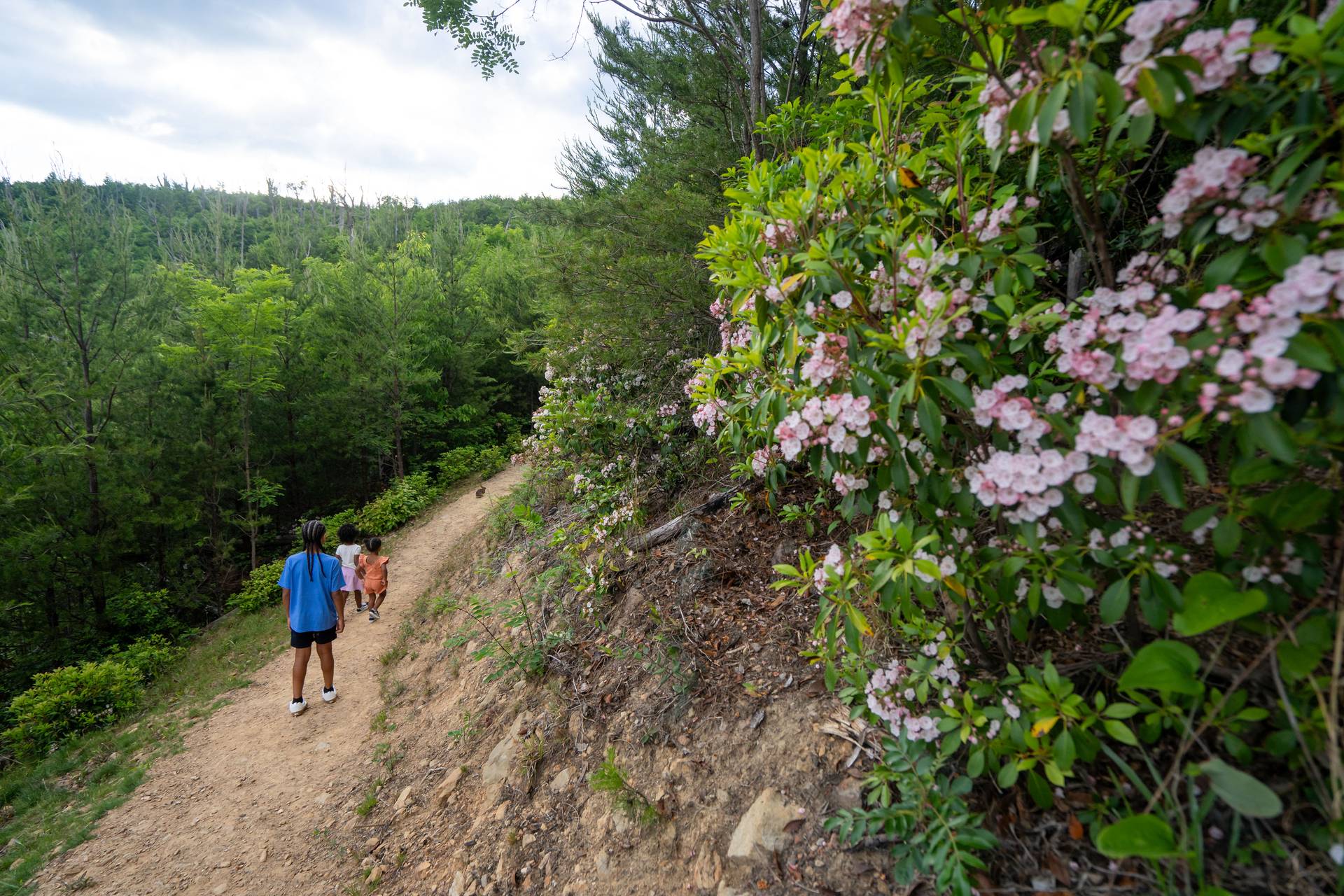 family hiking on the hiking trails at gatlinburg skypark