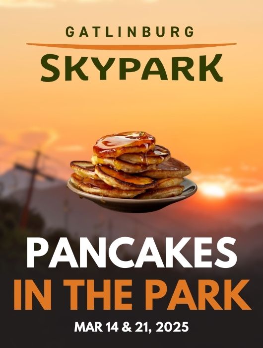 Pancakes in the Park event