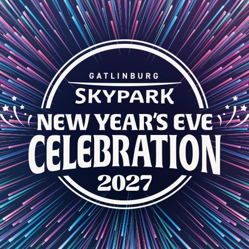 NYE Lights of Wonder at the SkyPark.
