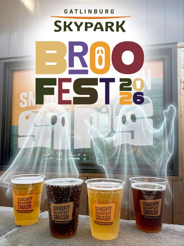 A lineup of beers from Smoky Mountain Sips