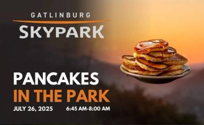 pancakes in the park photo