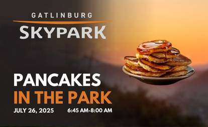 Pancakes in the Park Advertisement.