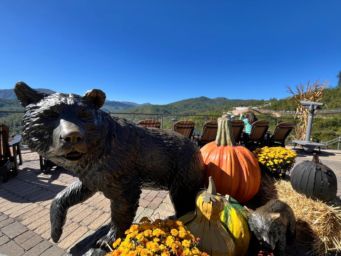 autumn at the skypark