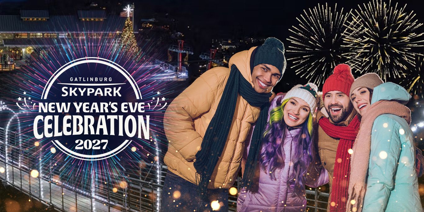2027 lights of wonder web banner
