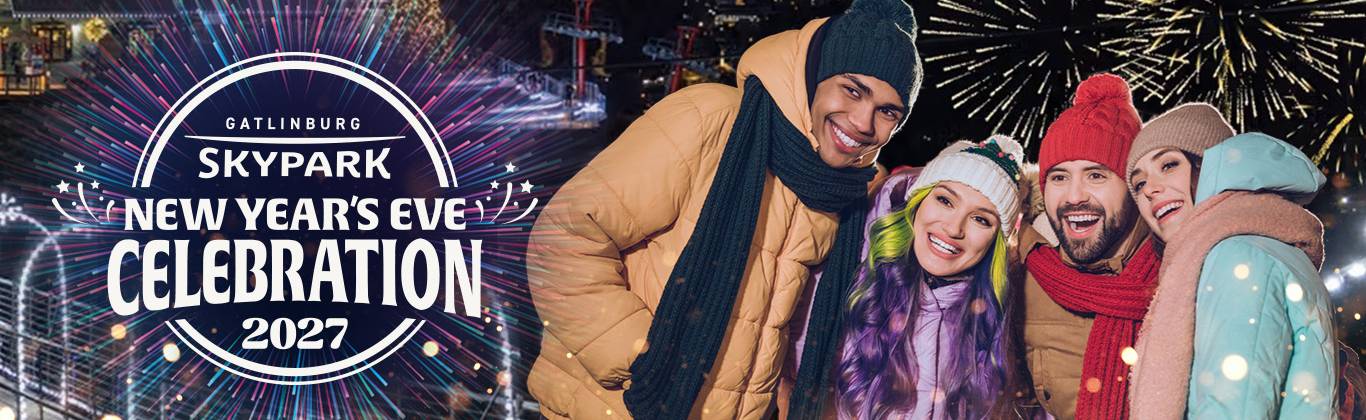 2027 lights of wonder web banner