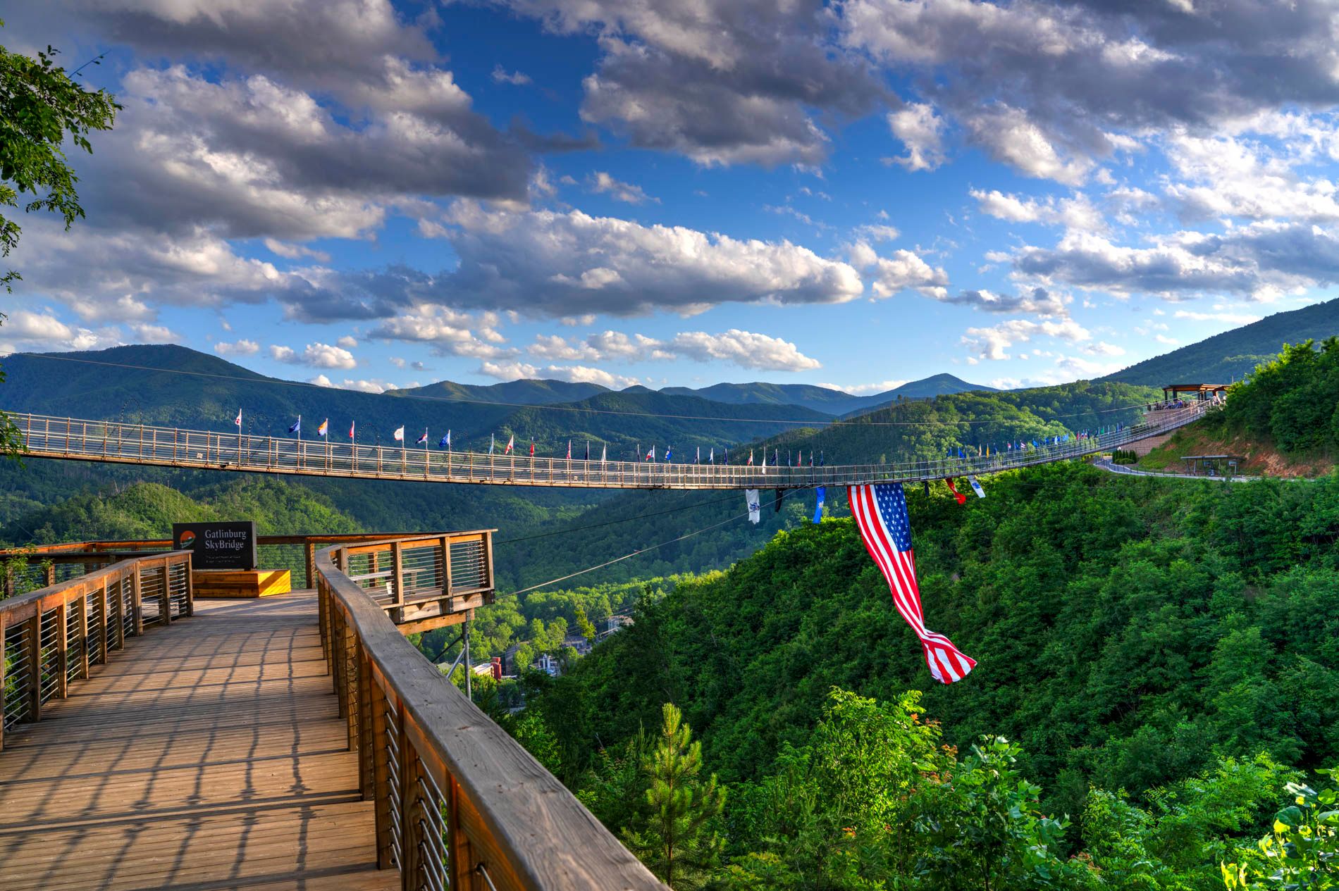SkyBridge view from SkyTrail