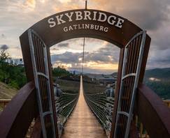 skybridge portal