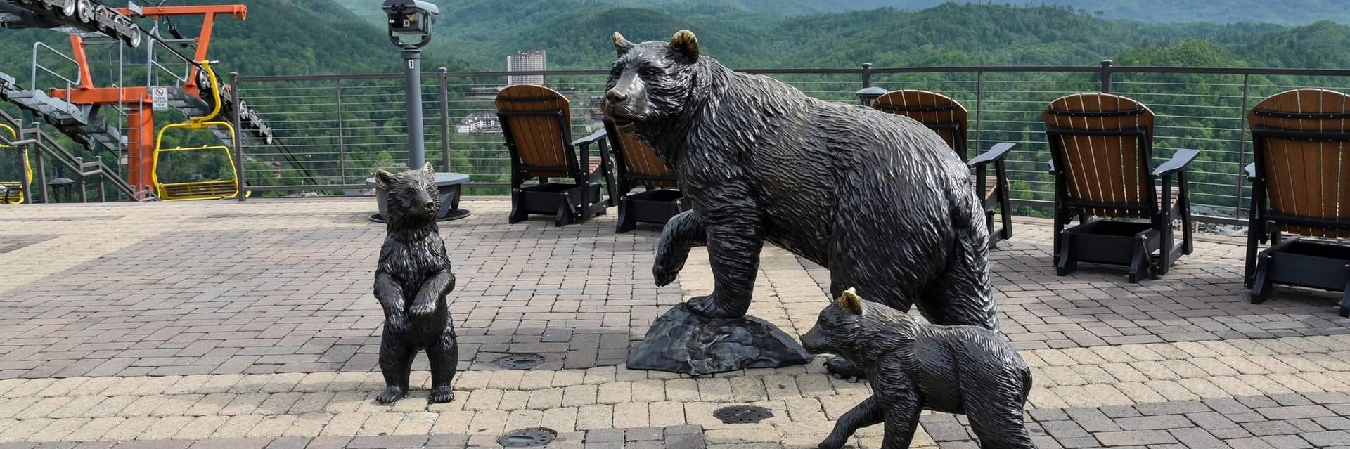 Bear statues on SkyDeck