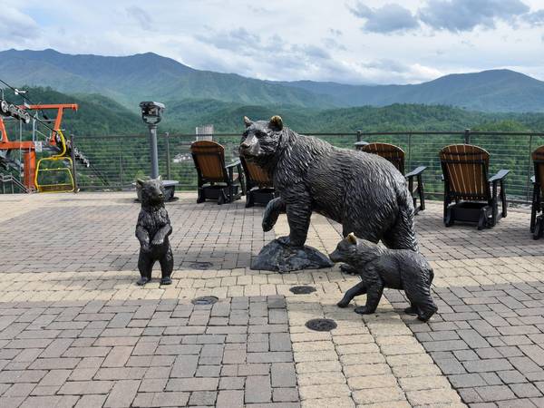 Bear statues on SkyDeck
