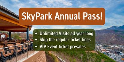 SkyPark Annual Pass Advertisement