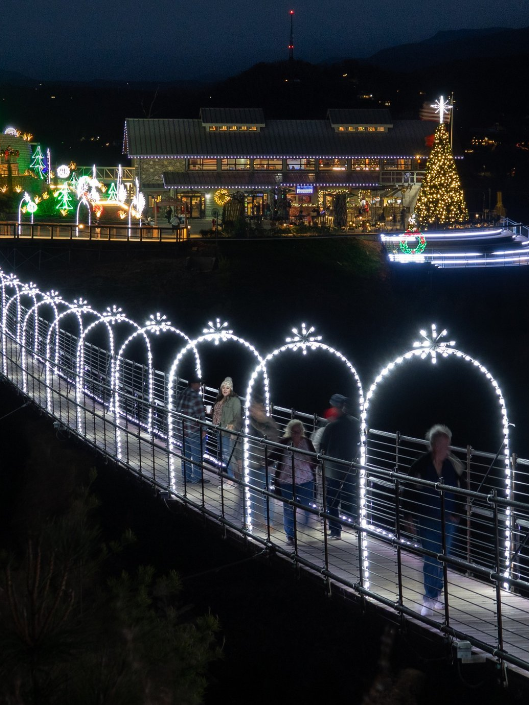 Lights Over Gatlinburg at the SkyPark.