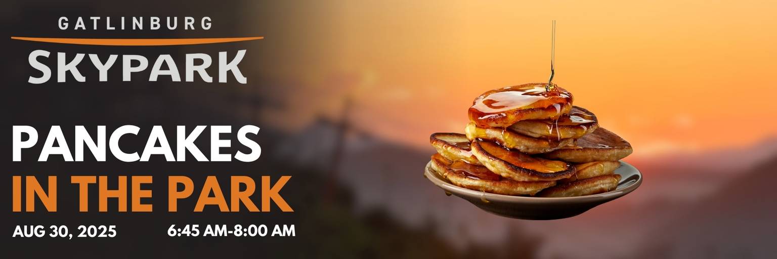 Pancakes in the Park banner