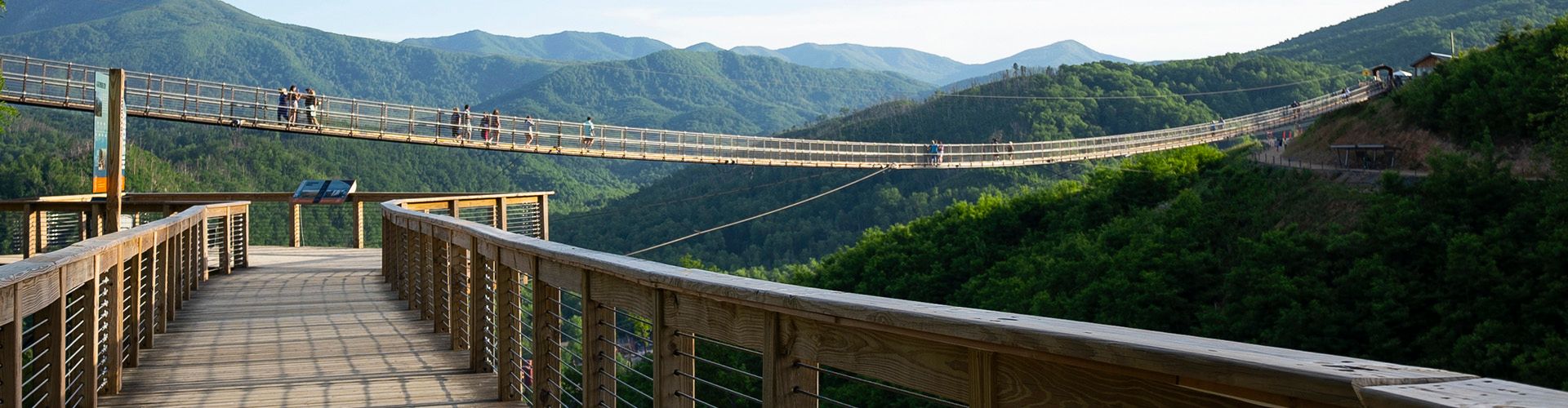 SkyBridge View From SkyTrail