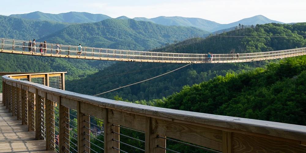 SkyBridge View From SkyTrail