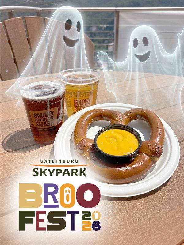 Draft Beer and a Soft Pretzel from Smoky Mountain Sips.