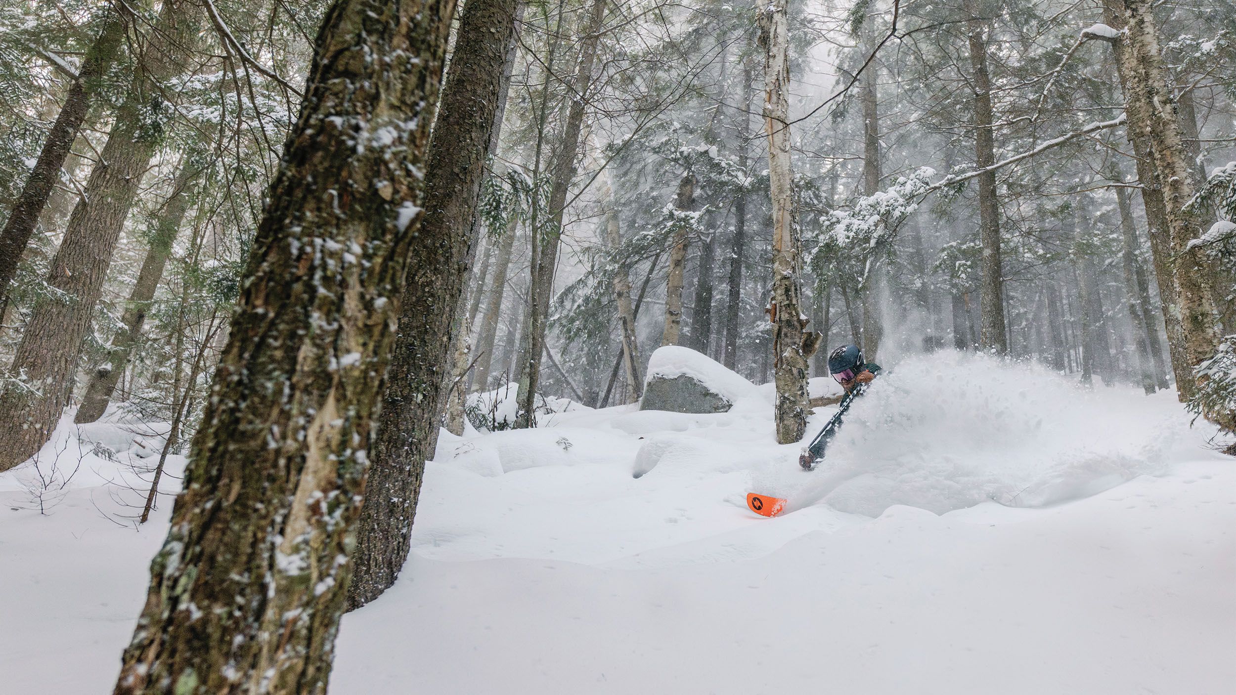 Skier in glades