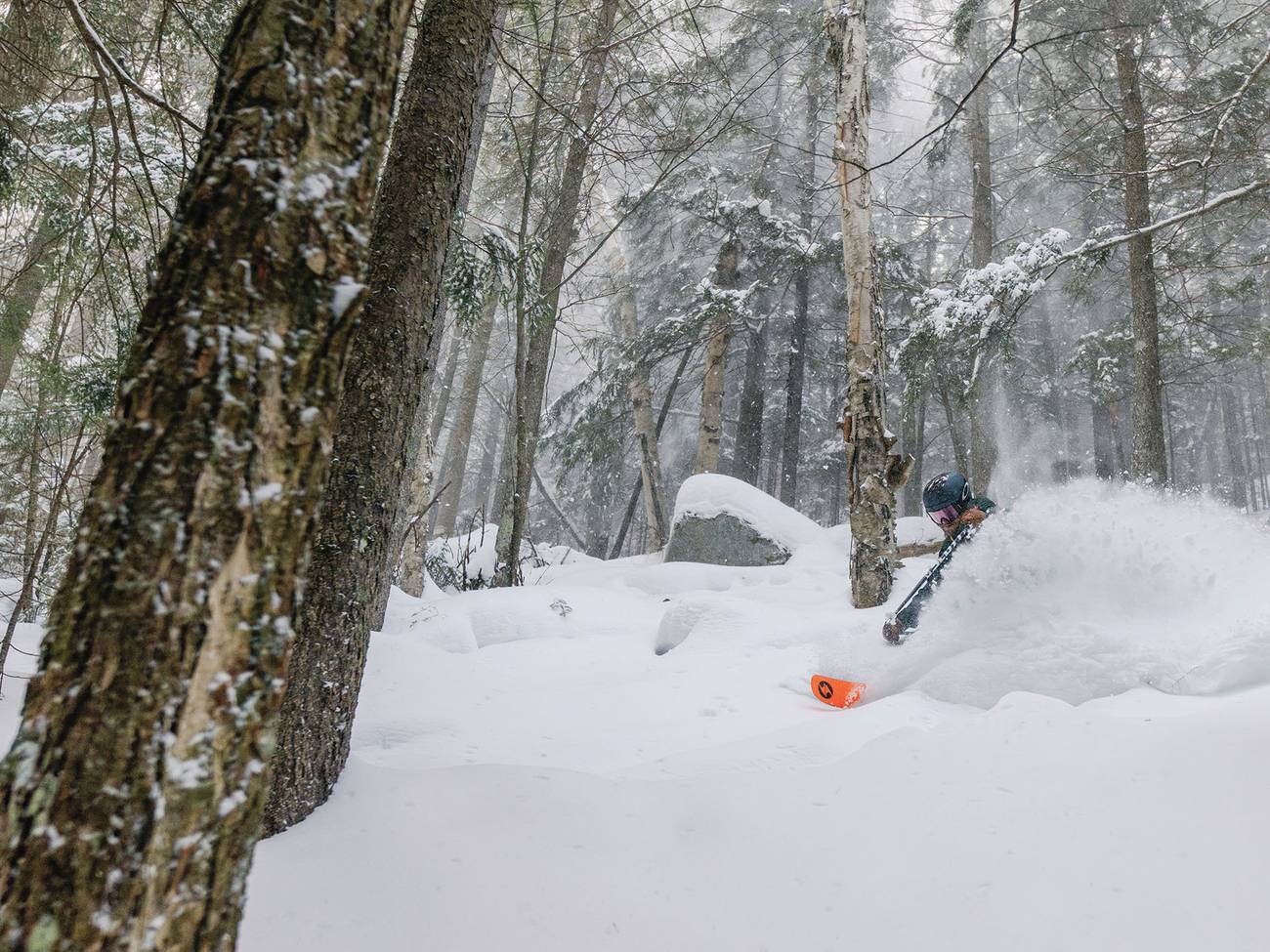 Skier in glades