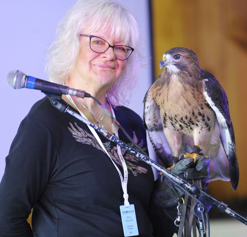 Falconry seminar