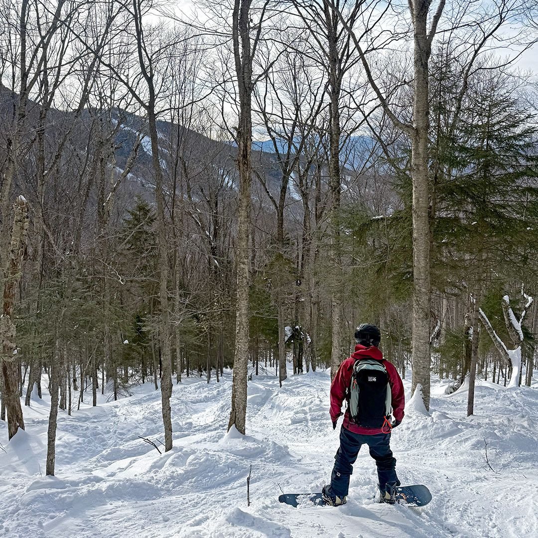 Snowboarder standing in glade