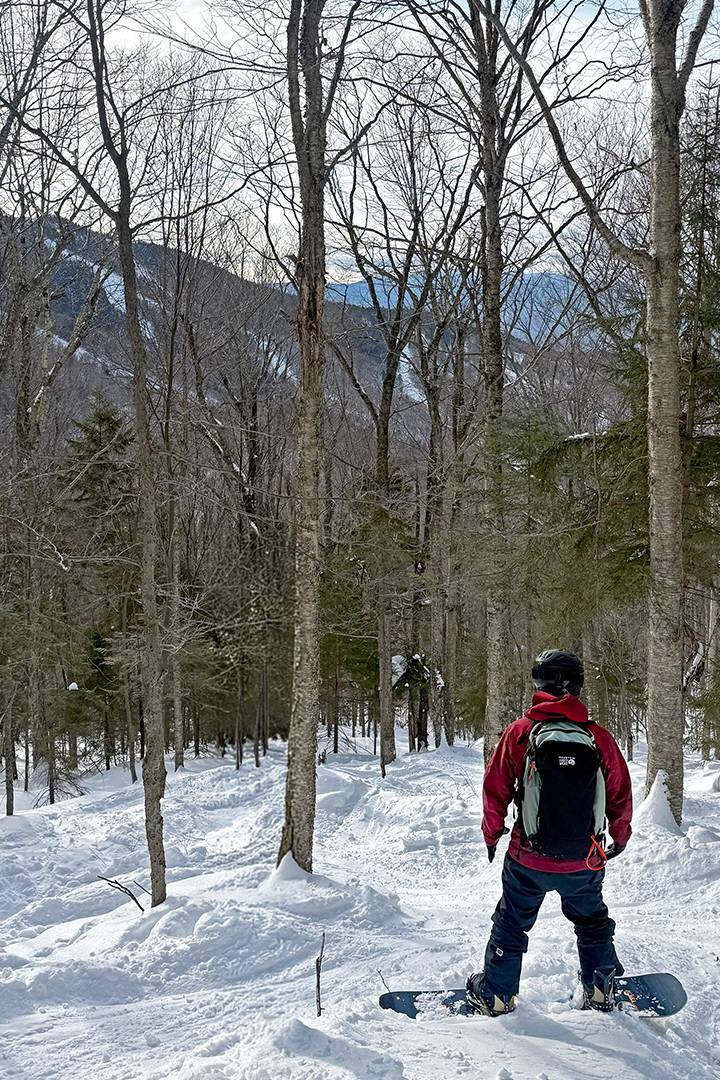 Snowboarder standing in glade