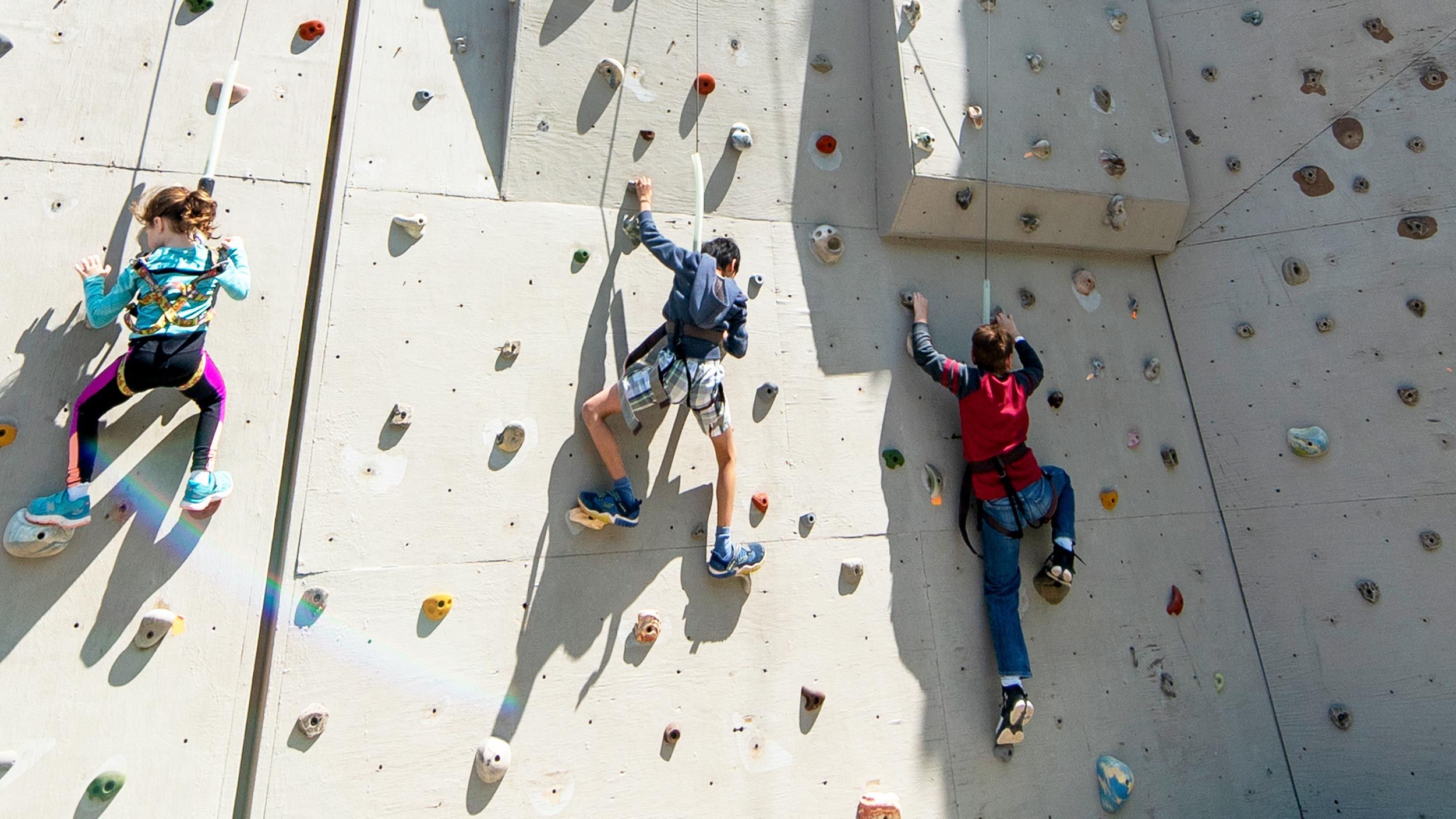 kids on the climbing wall